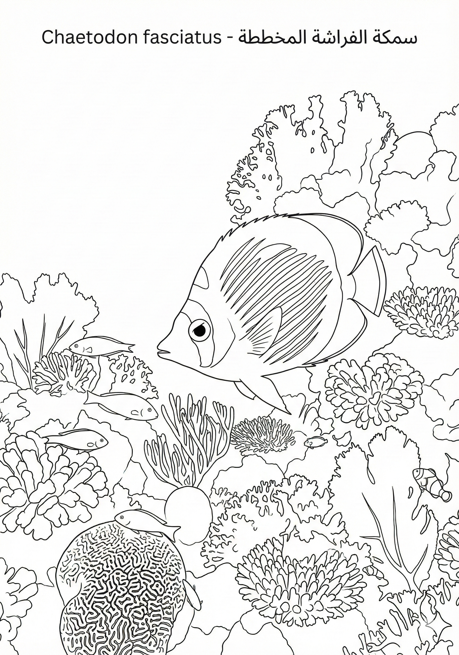 Educational Art & Coloring Pages