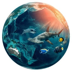 CECOZ Marine Atlas Collection featuring educational ocean life references and marine species guides