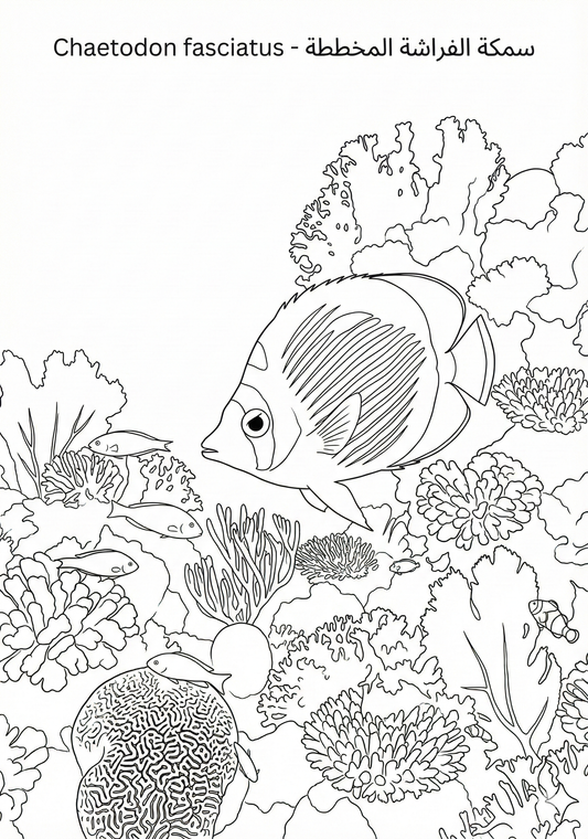 Marine Fish Coloring Page (Printable PDF)