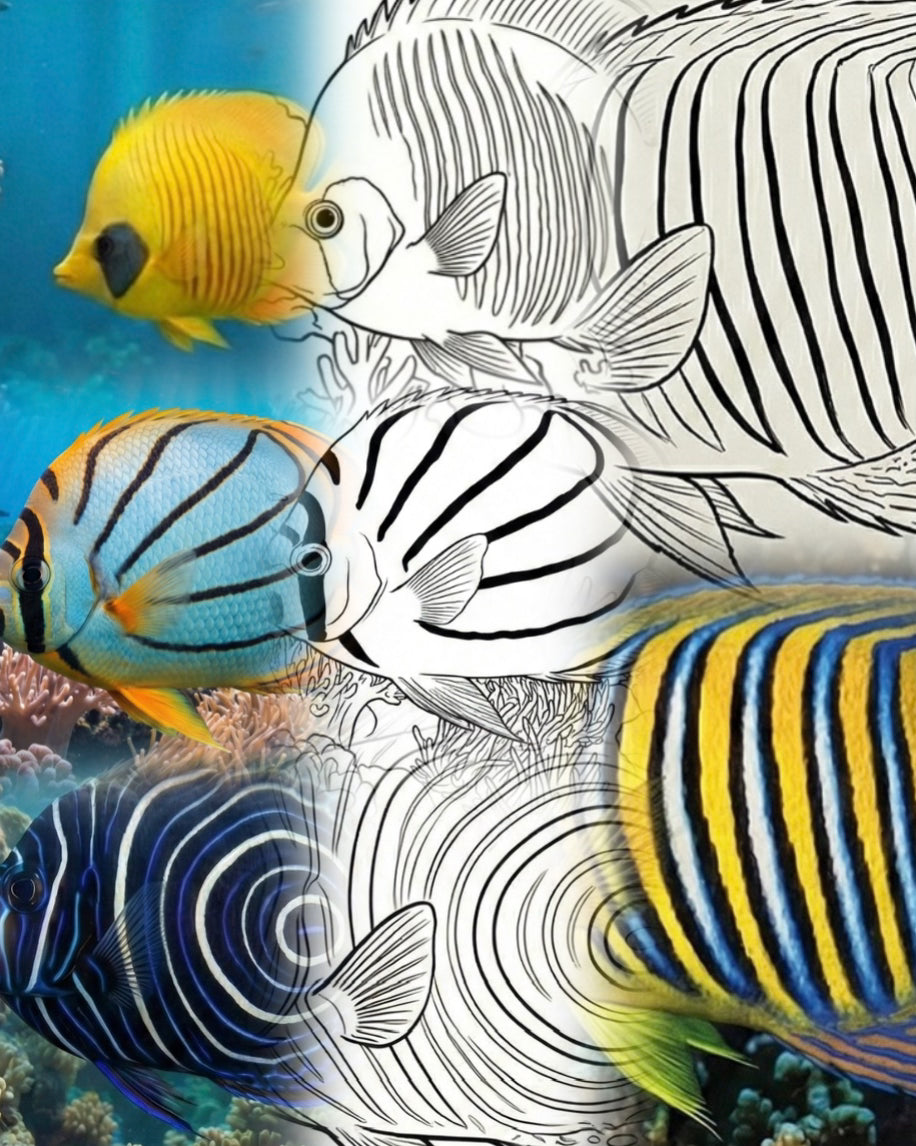 Ultimate Reef Fish Coloring Bundle (16 Especies) | Kit para colorear Explorador Marino