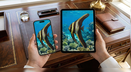Teira-Fledermausfisch (Platax teira) | Digitaler Meeresatlas