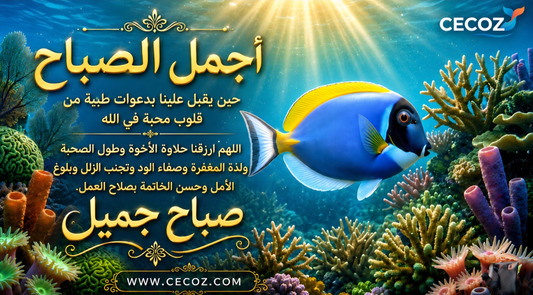 CECOZ Free Marine Greeting Card featuring Powder Blue Tang Acanthurus leucosternon with Arabic morning prayer

