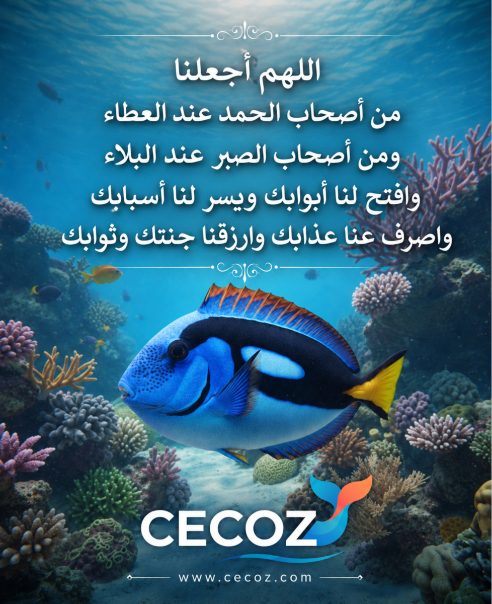 CECOZ Free Marine Greeting Card featuring Regal Blue Tang Paracanthurus hepatus with Islamic prayer
