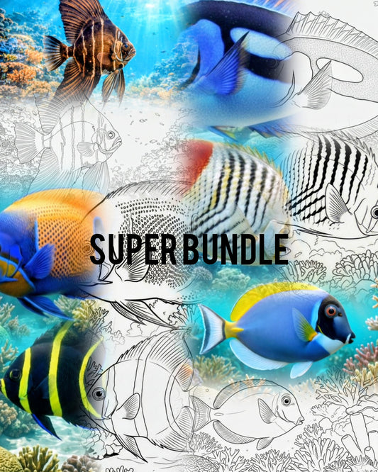 Ultimate Reef Fish Super Bundle (32 Arten) | Marine Explorer Coloring Kit