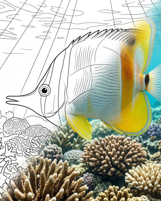 Mariner Falterfisch (Chelmon marginalis) - Adult | Marine Explorer Coloring Kit