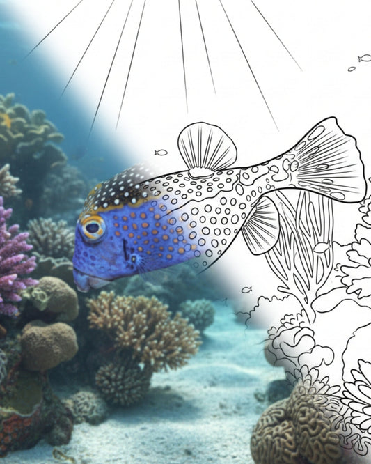 Gefleckter Kofferfisch (Ostracion meleagris)| Marine Explorer Coloring Kit