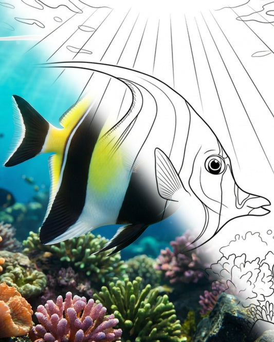 Maurische Idole (Zanclus cornutus) | Marine Explorer Färbeset