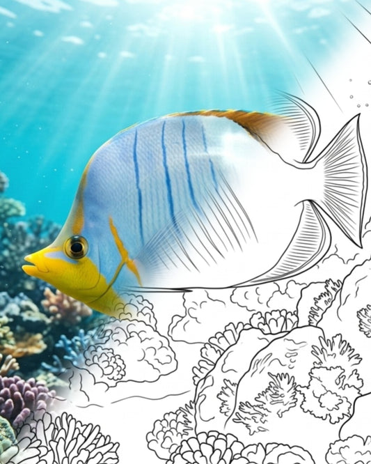 Gelbkopf-Falterfisch (Chaetodon xanthocephalus) | Marine Explorer Färbeset