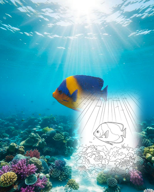 Lila Masken-Kaiserfisch (Holacanthus venustus)| Marine Explorer Coloring Kit
