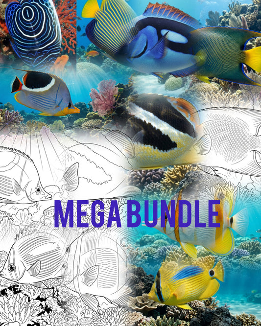 Ultimate Reef Fish Mega Bundle (64 Arten) | Marine Explorer Färbeset